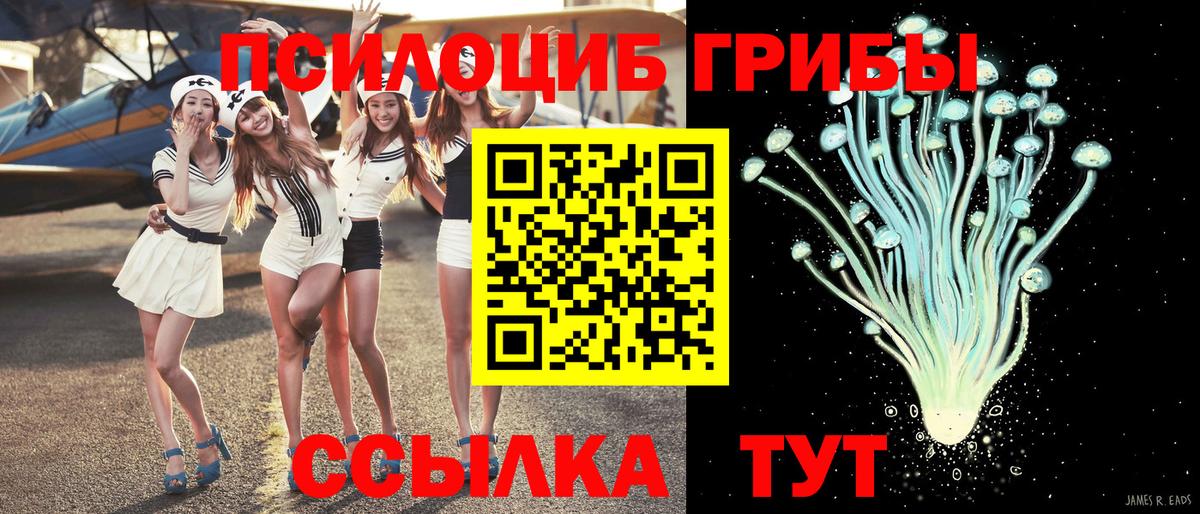 Псилоцибиновые грибы Psilocybine cubensis  Вход с VPN  Галлюциногенные грибы Cubensis  Донецк 
